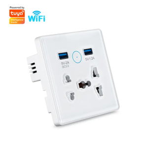 Zigbee Smart Socket: 2 AC Outlets + Dual USB Charger - Universal Wall Plug