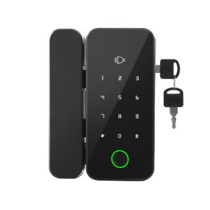 Biometric & IC Card Smart Lock with Remote Access for Steel Security Doors